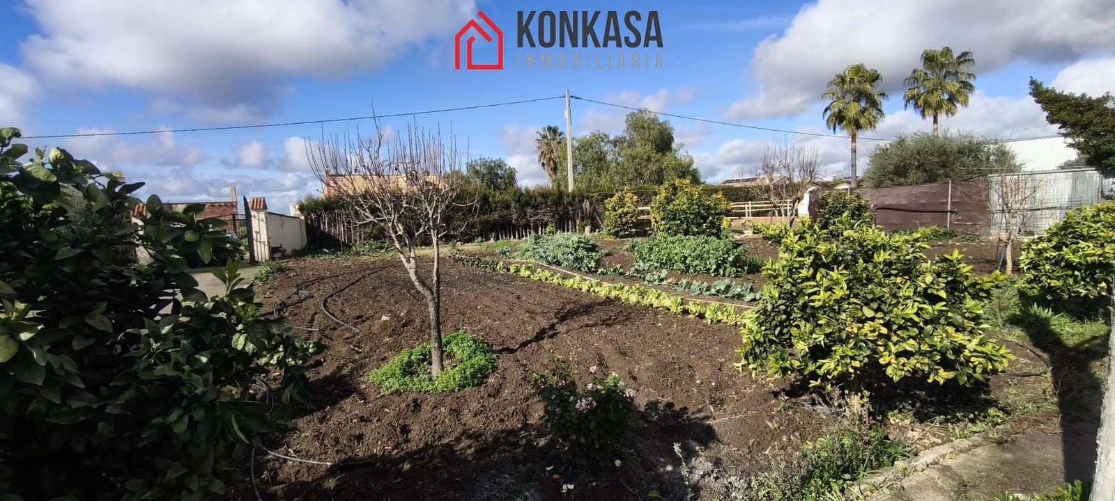 2 bedroom Finca/Country House for sale in Villamartin with pool garage - € 106,000 (Ref: 9446810)