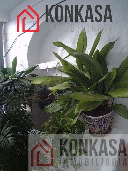 1 soverom Leilighet til salgs i Arcos de la Frontera - € 55 000 (Ref: 9446813)