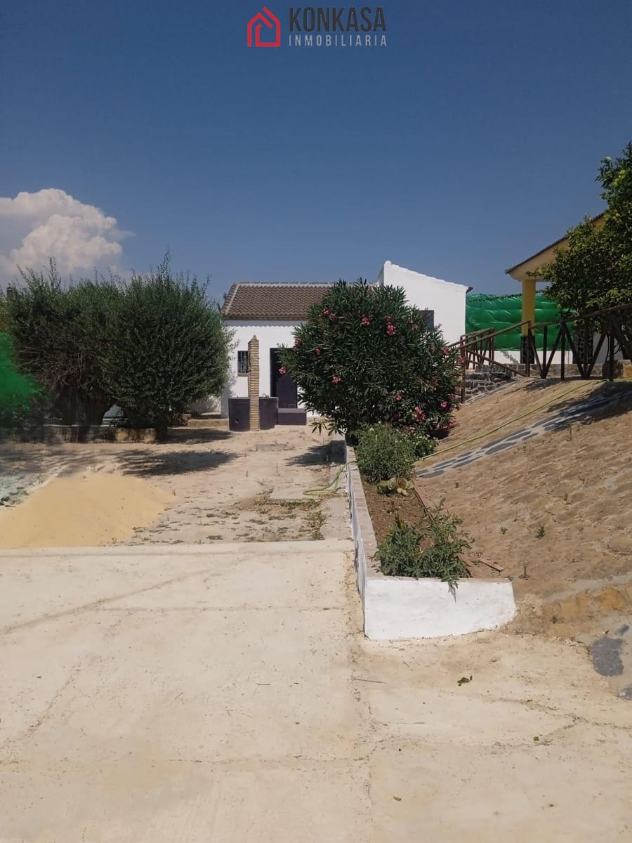 3 bedroom Finca/Country House for sale in Arcos de la Frontera - € 160,000 (Ref: 9446816)