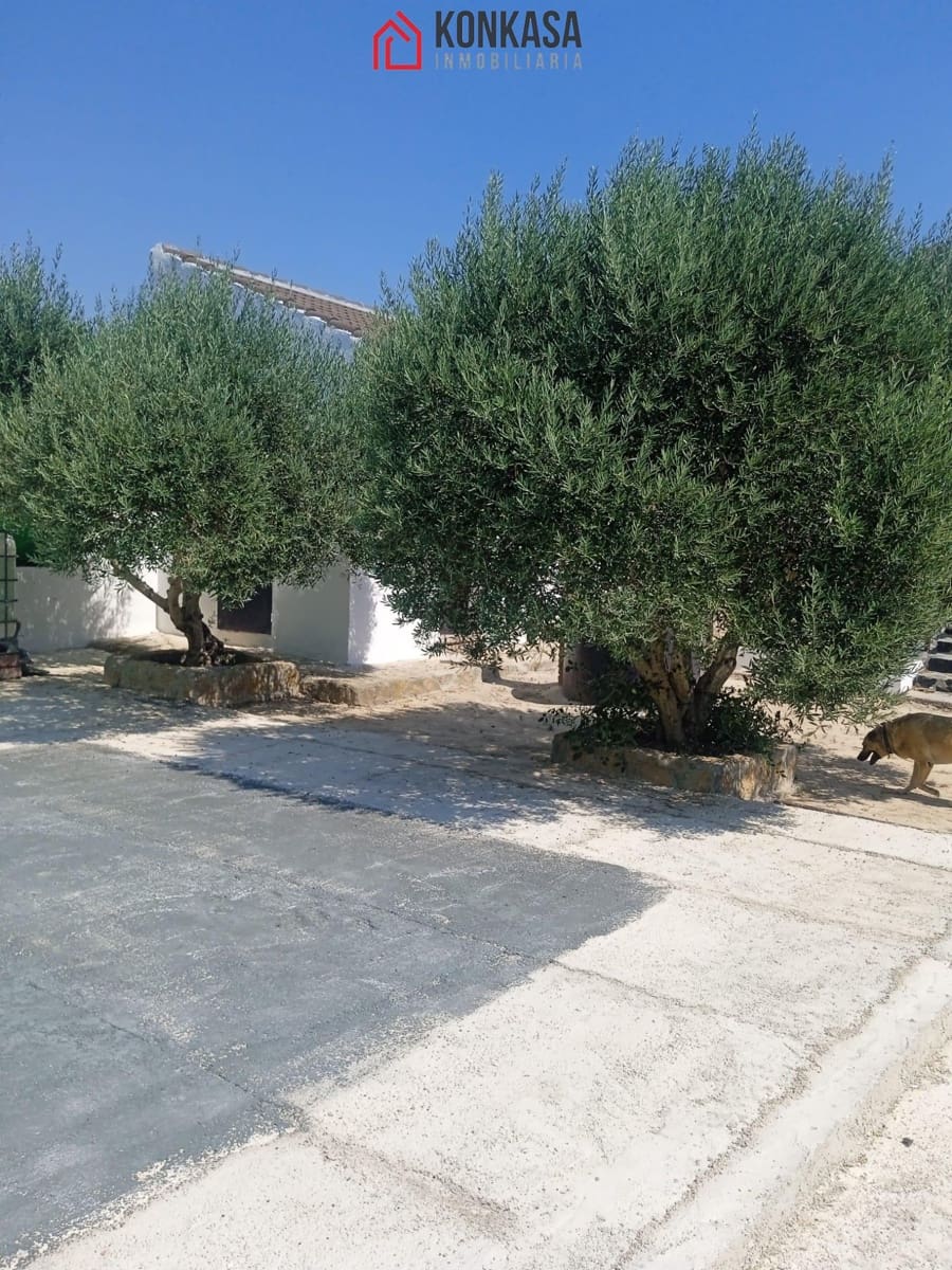 3 bedroom Finca/Country House for sale in Arcos de la Frontera - € 160,000 (Ref: 9446816)