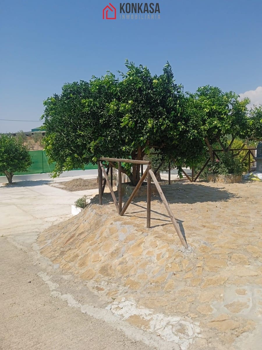 3 bedroom Finca/Country House for sale in Arcos de la Frontera - € 160,000 (Ref: 9446816)