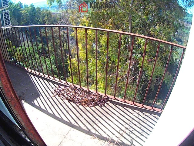 3 quarto Comercial para venda em Arcos de la Frontera - 90 000 € (Ref: 9446822)