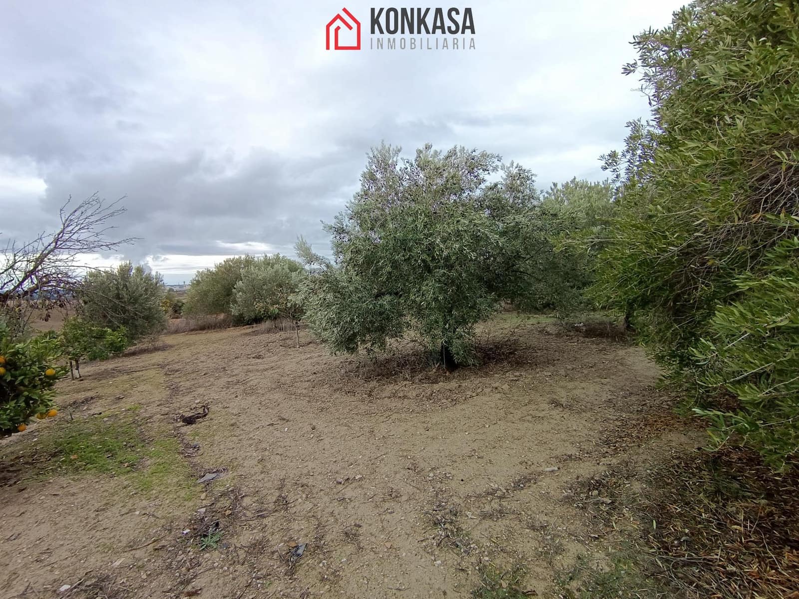 3 bedroom Finca/Country House for sale in Arcos de la Frontera - € 320,000 (Ref: 9446829)