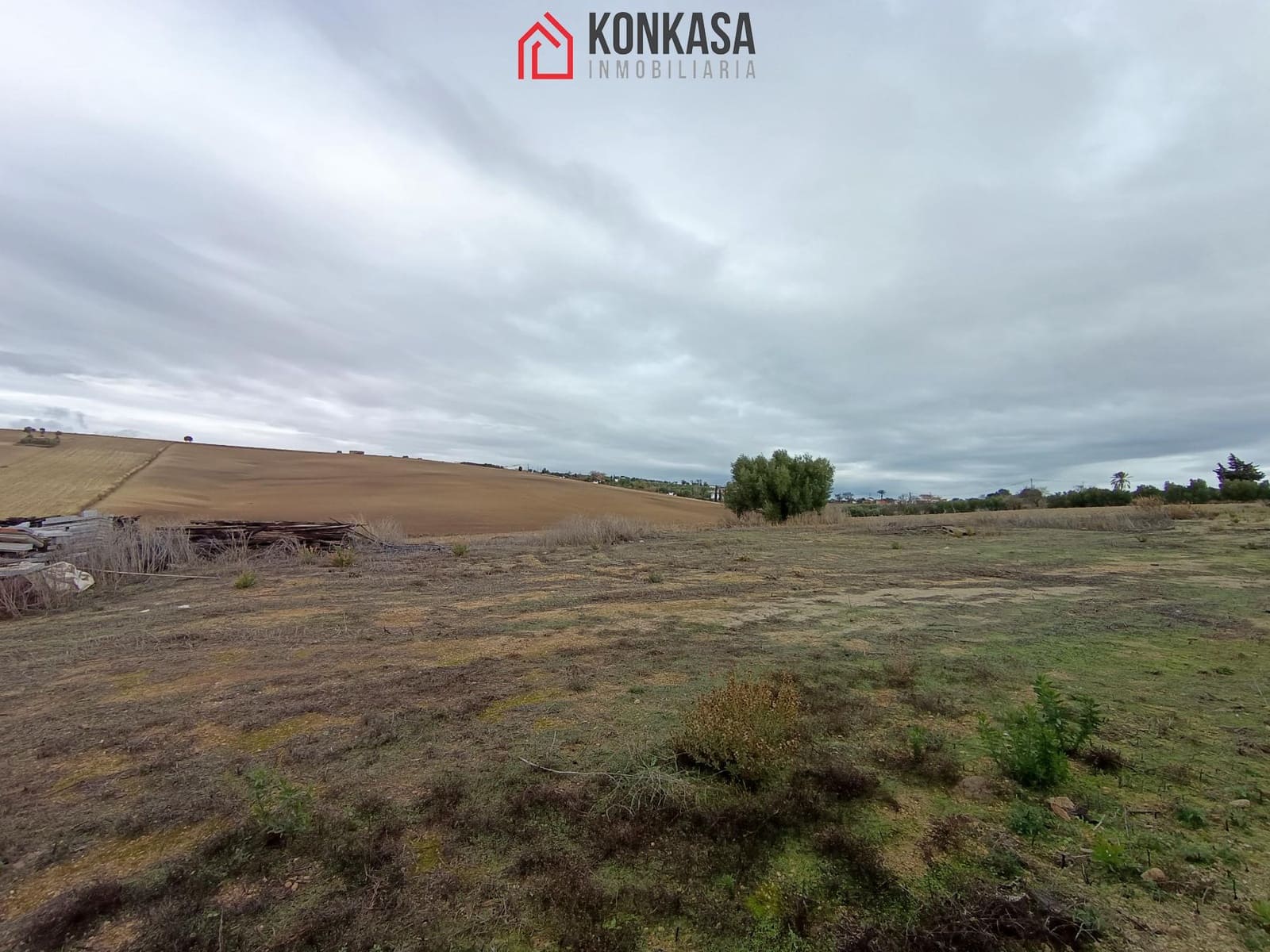 3 bedroom Finca/Country House for sale in Arcos de la Frontera - € 320,000 (Ref: 9446829)