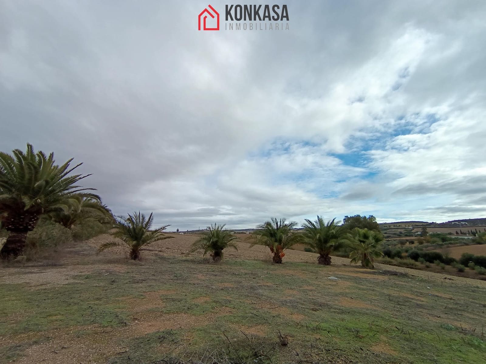 3 bedroom Finca/Country House for sale in Arcos de la Frontera - € 320,000 (Ref: 9446829)