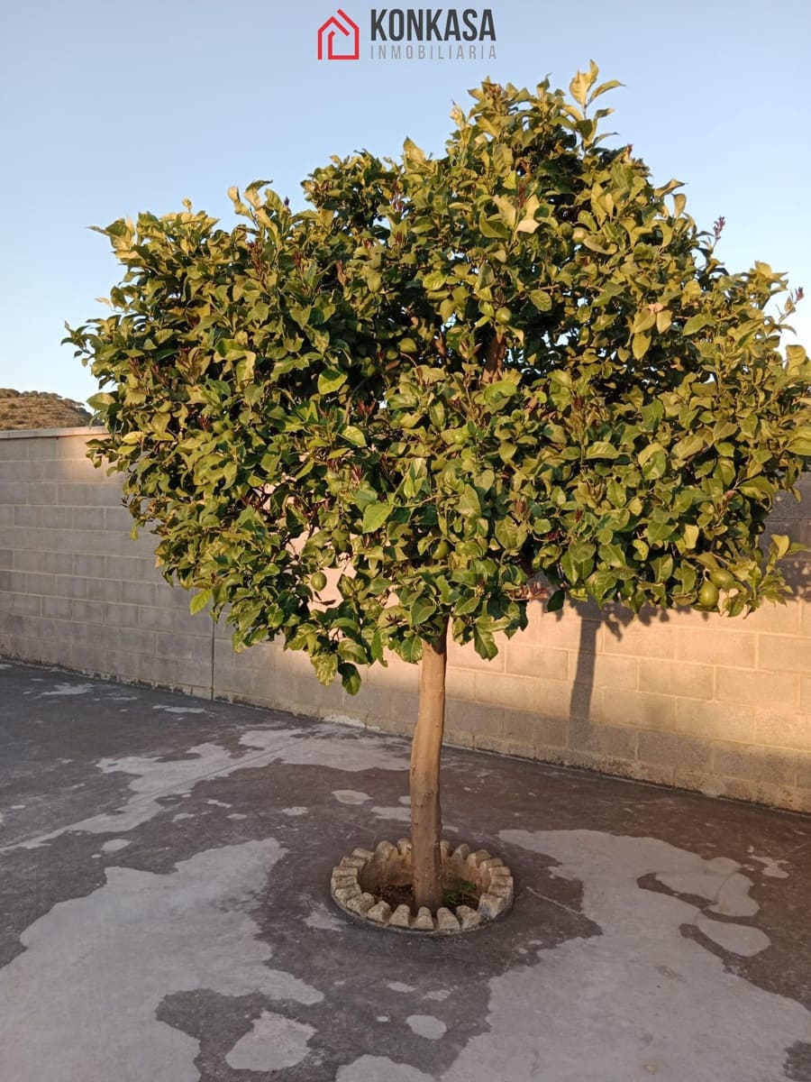 3 slaapkamer Villa te huur in Arcos de la Frontera met zwembad - € 1.100 (Ref: 9446830)