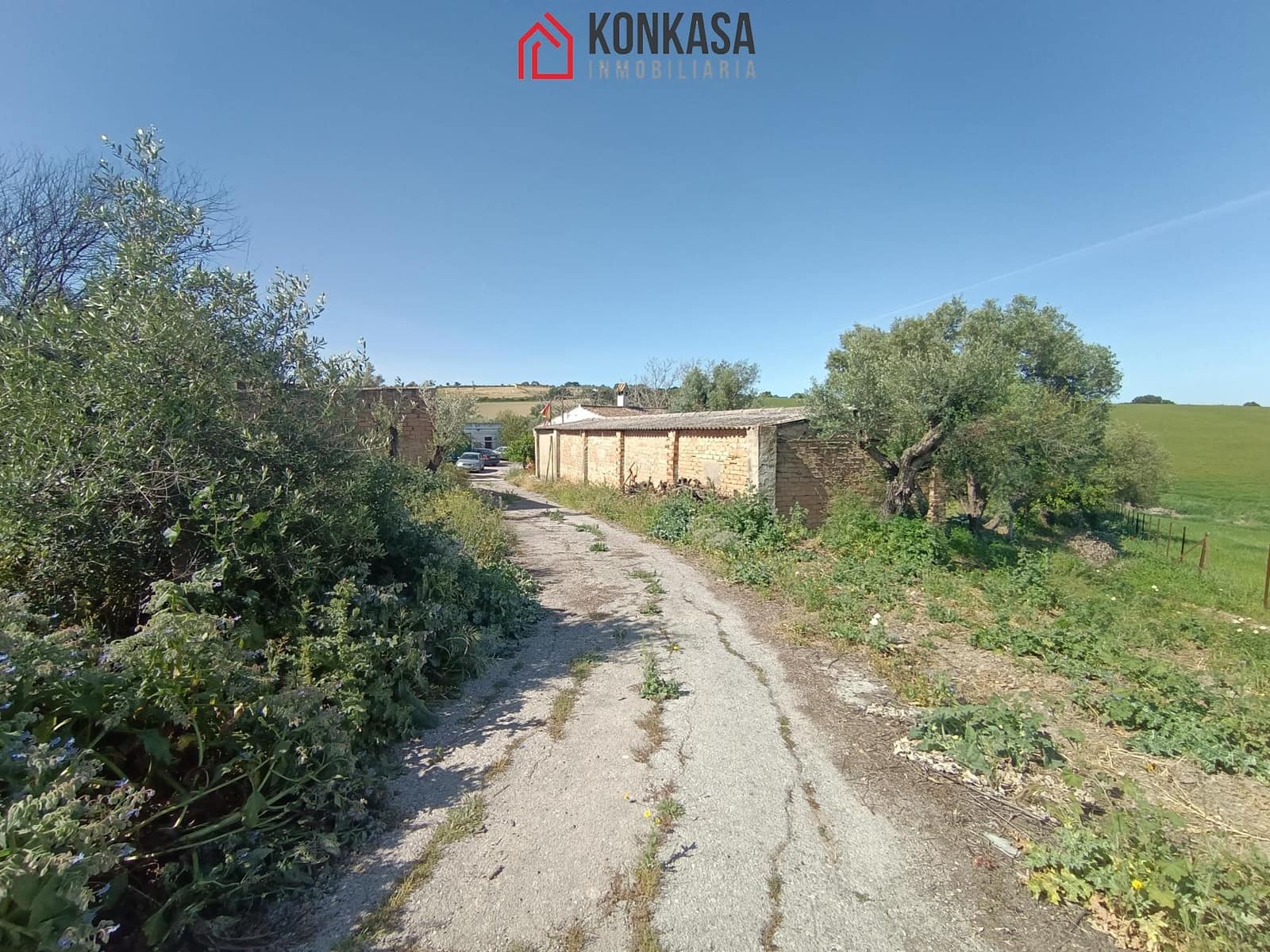 2 bedroom Finca/Country House for sale in Arcos de la Frontera - € 250,000 (Ref: 9446833)