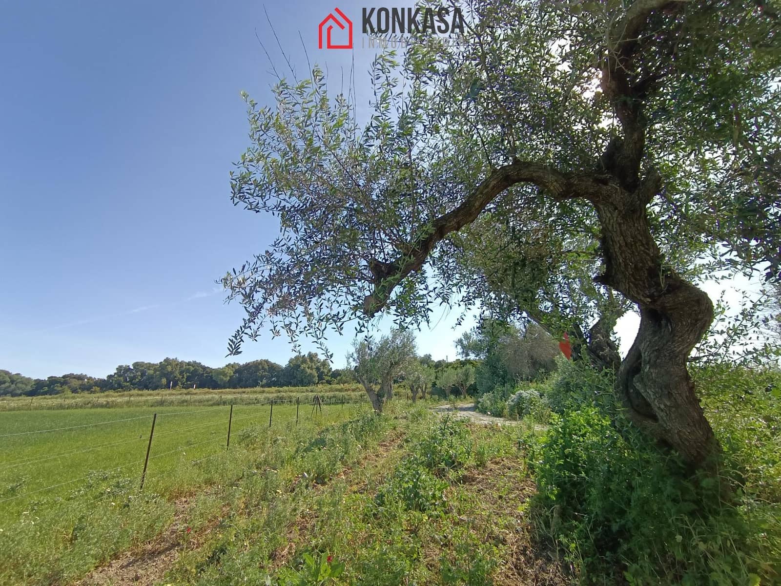 2 bedroom Finca/Country House for sale in Arcos de la Frontera - € 250,000 (Ref: 9446833)