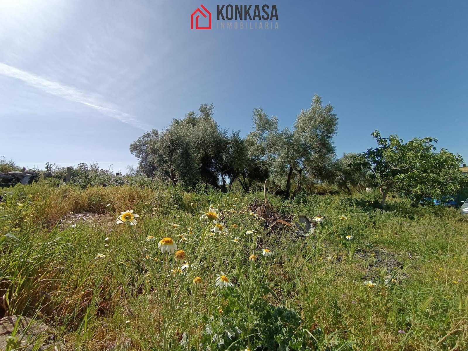 2 bedroom Finca/Country House for sale in Arcos de la Frontera - € 250,000 (Ref: 9446833)