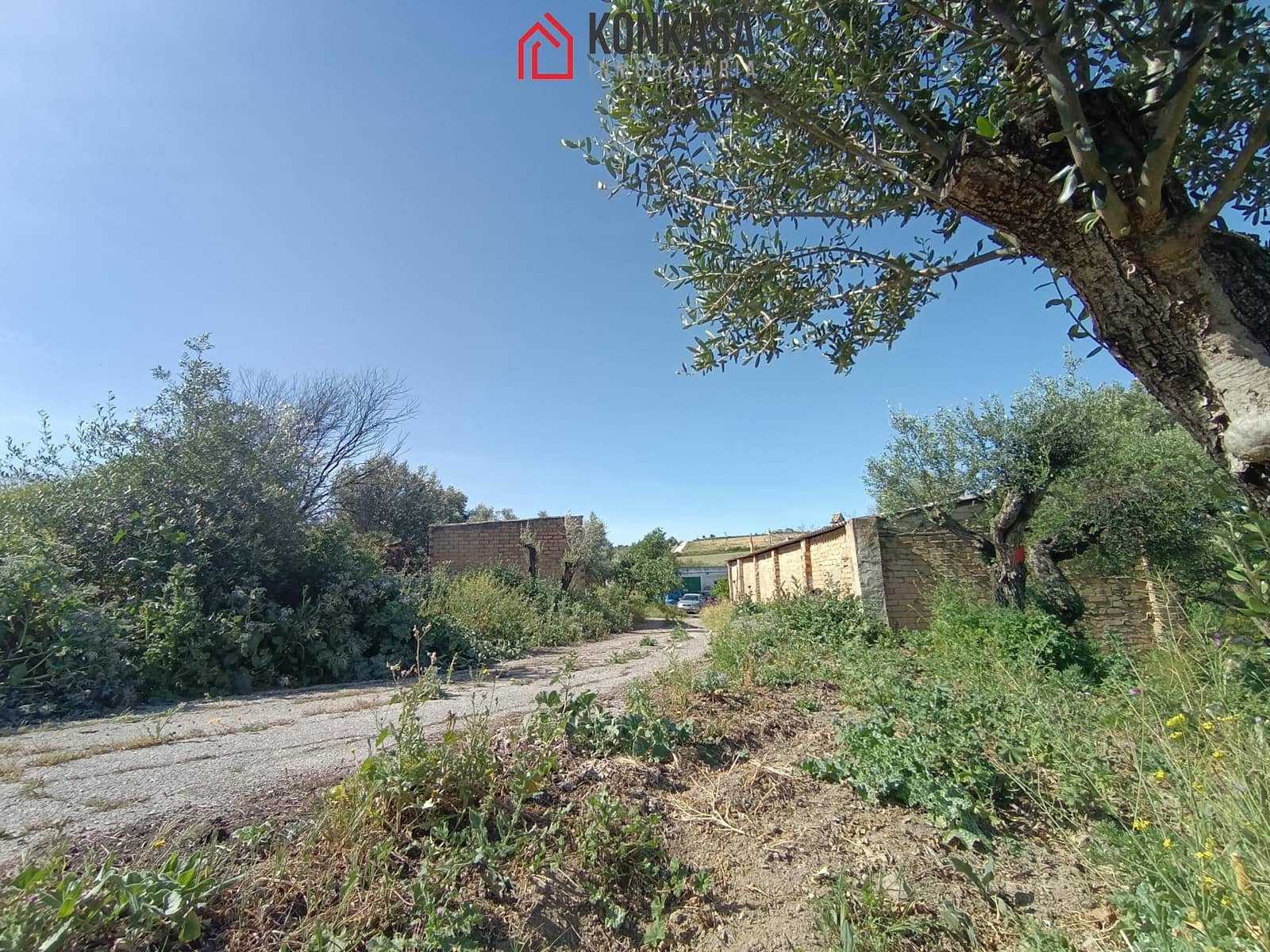 2 bedroom Finca/Country House for sale in Arcos de la Frontera - € 250,000 (Ref: 9446833)