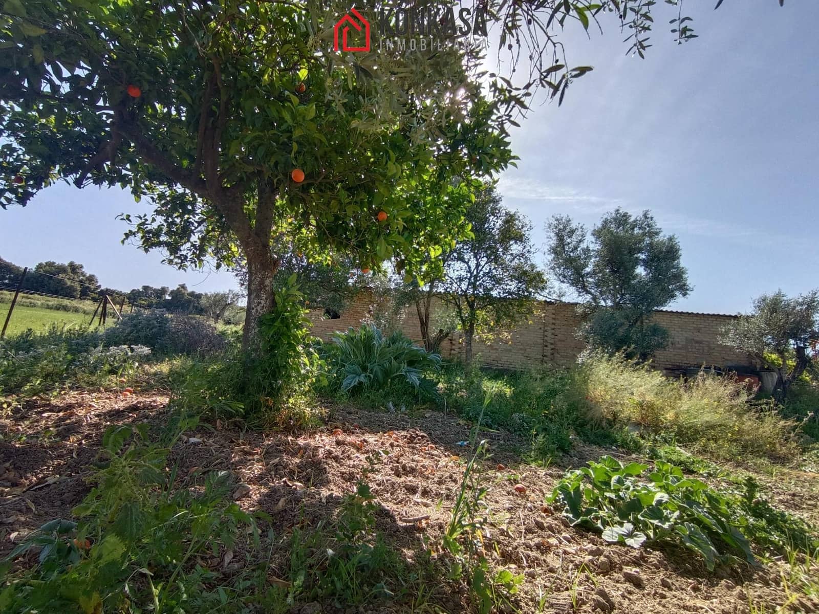 2 bedroom Finca/Country House for sale in Arcos de la Frontera - € 250,000 (Ref: 9446833)