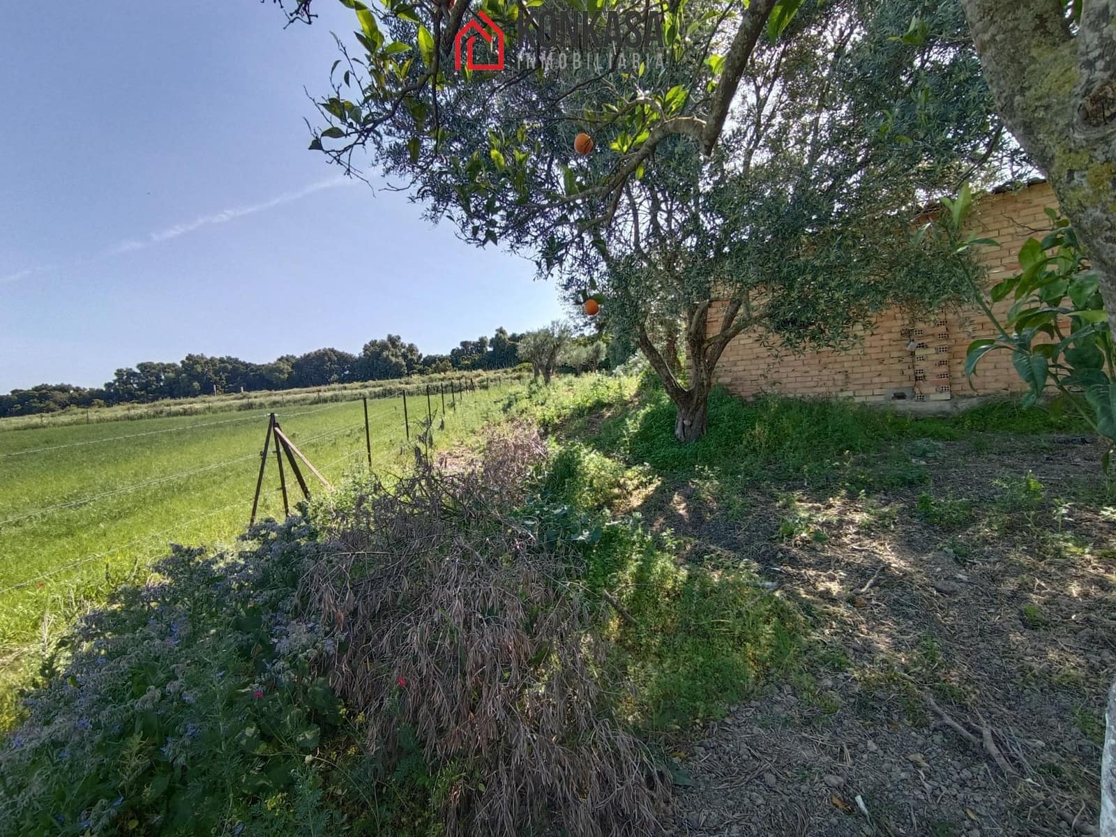 2 bedroom Finca/Country House for sale in Arcos de la Frontera - € 250,000 (Ref: 9446833)