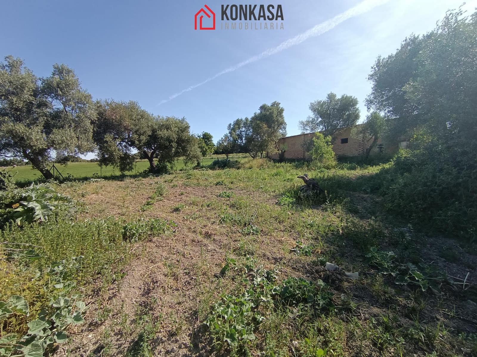 2 bedroom Finca/Country House for sale in Arcos de la Frontera - € 250,000 (Ref: 9446833)