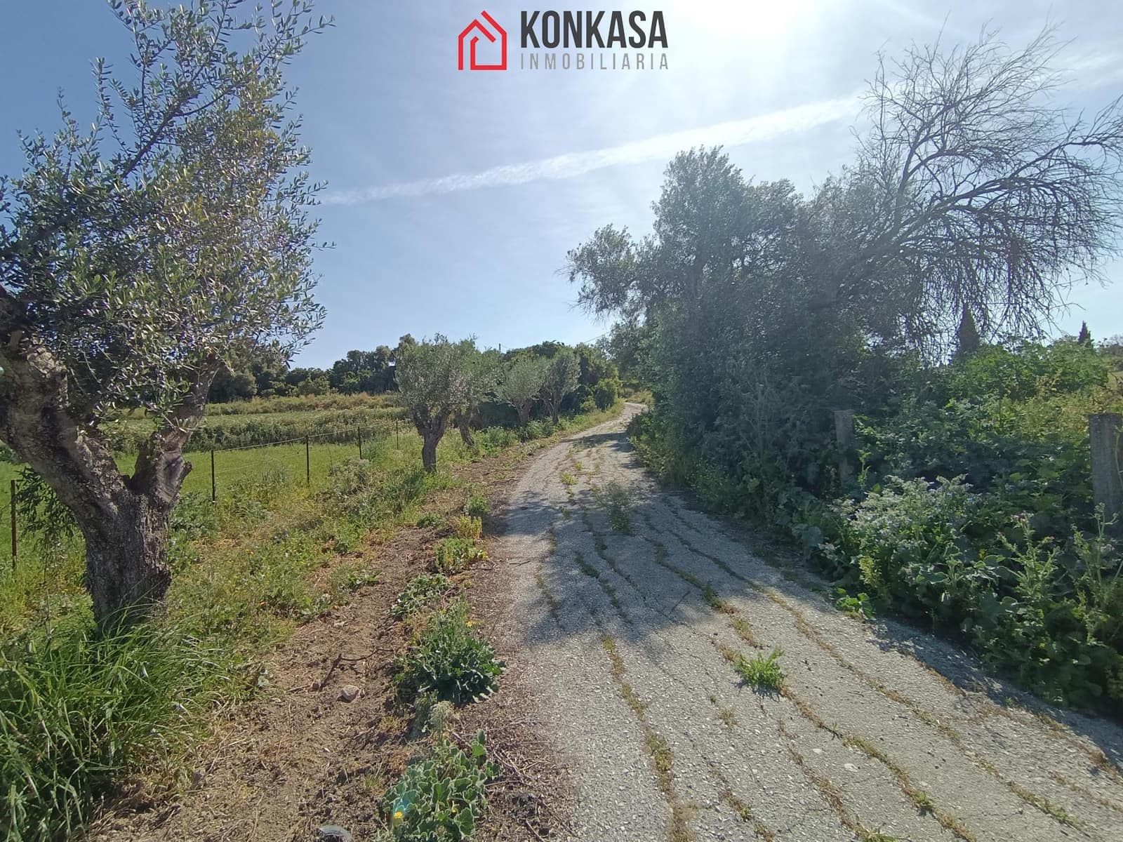 2 bedroom Finca/Country House for sale in Arcos de la Frontera - € 250,000 (Ref: 9446833)