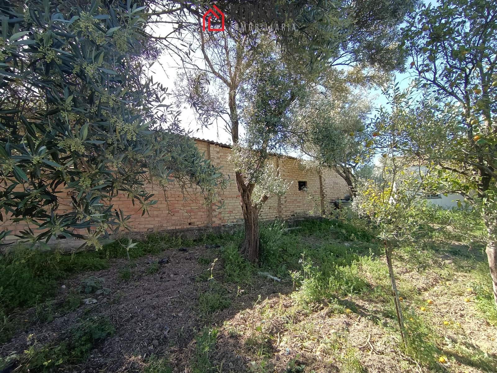 2 bedroom Finca/Country House for sale in Arcos de la Frontera - € 250,000 (Ref: 9446833)