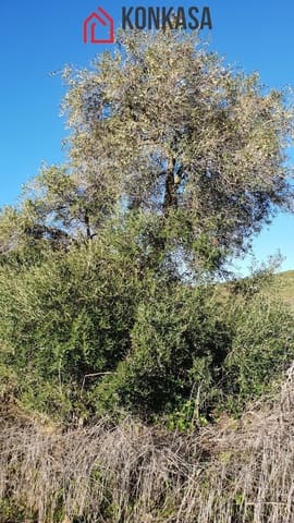 Finca/Country House for sale in Arcos de la Frontera - € 150,000 (Ref: 9446836)