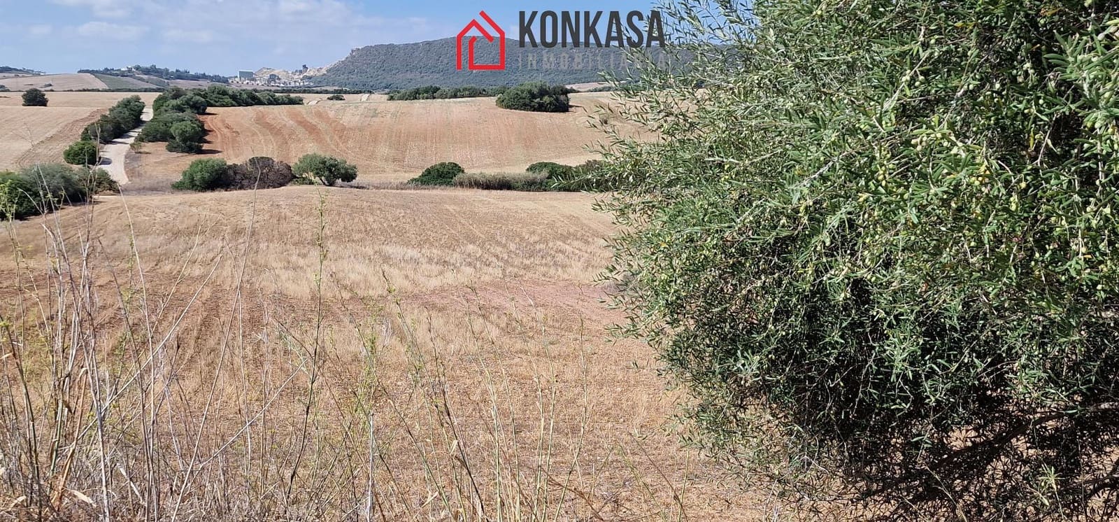 Finca/Country House for sale in Arcos de la Frontera - € 150,000 (Ref: 9446836)