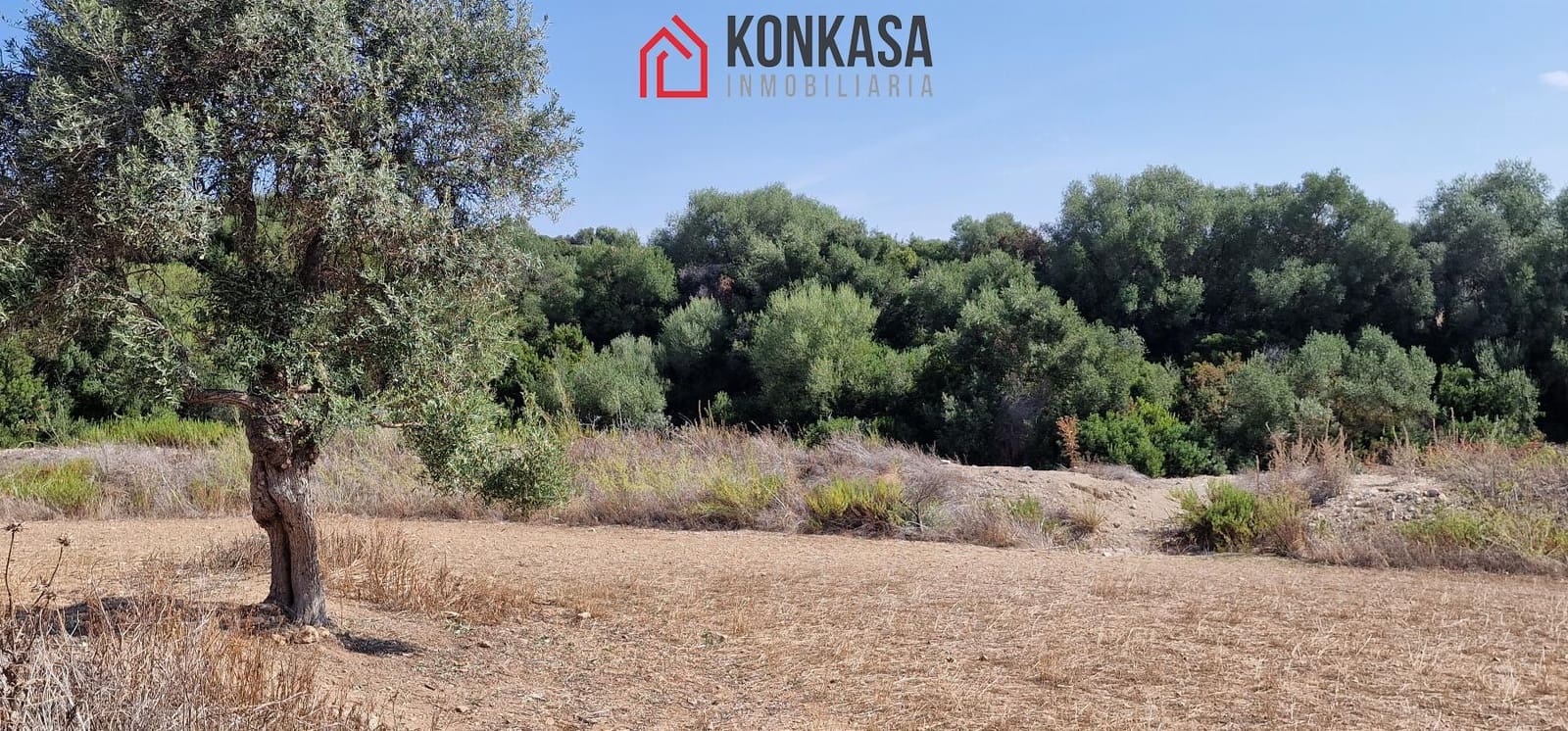 Finca/Country House for sale in Arcos de la Frontera - € 150,000 (Ref: 9446836)