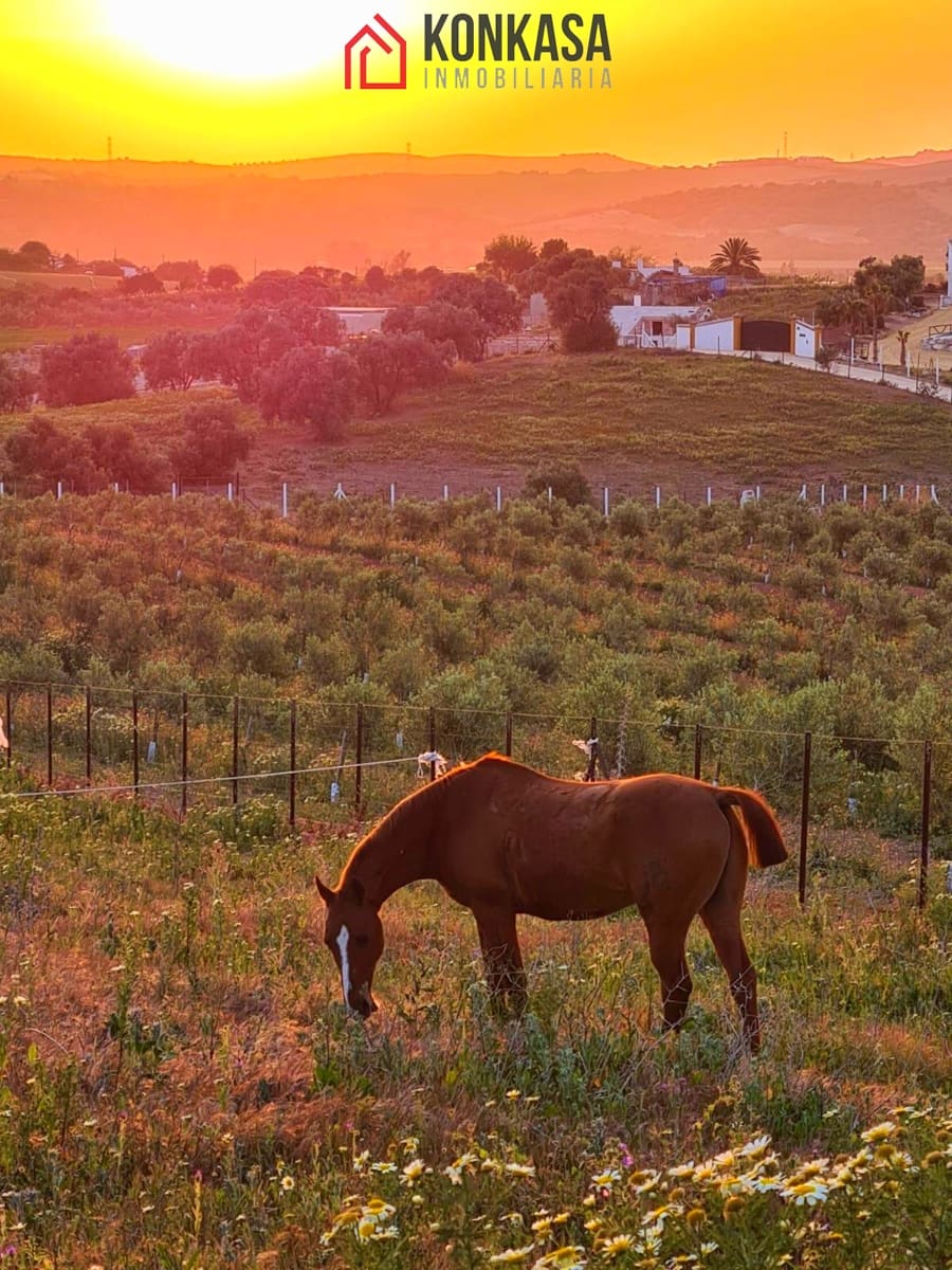 3 bedroom Finca/Country House for sale in Arcos de la Frontera - € 225,000 (Ref: 9446842)