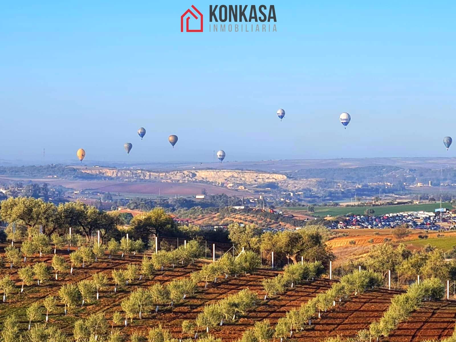 3 bedroom Finca/Country House for sale in Arcos de la Frontera - € 225,000 (Ref: 9446842)