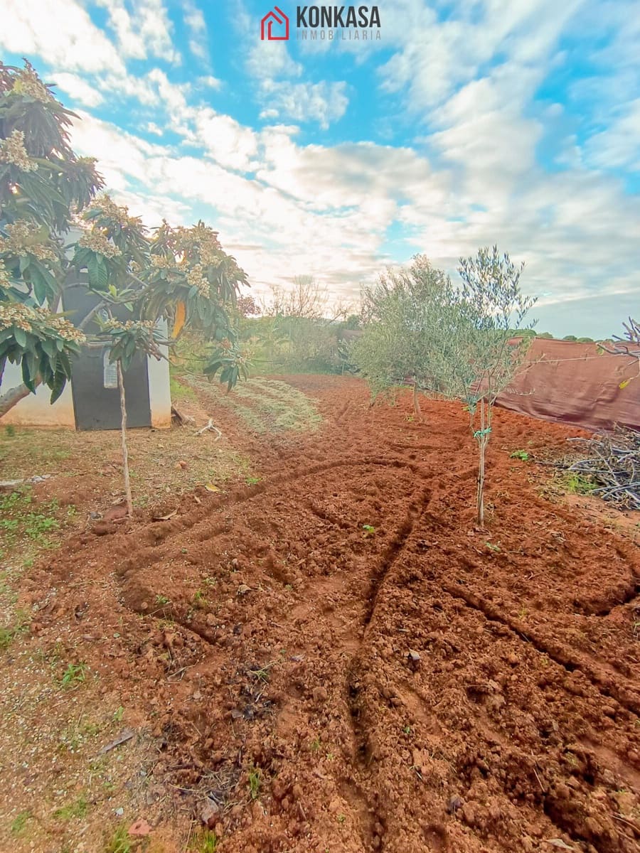 2 bedroom Finca/Country House for sale in Arcos de la Frontera with pool garage - € 225,000 (Ref: 9446845)