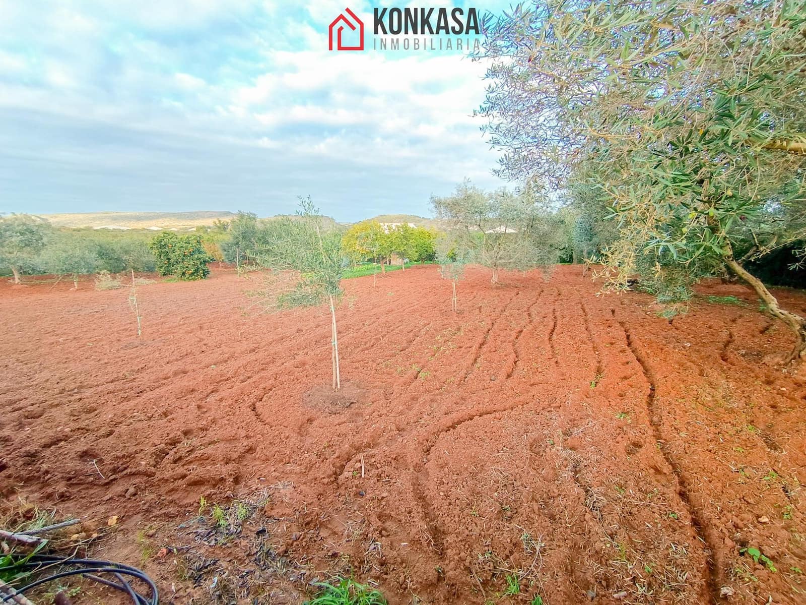 2 bedroom Finca/Country House for sale in Arcos de la Frontera with pool garage - € 225,000 (Ref: 9446845)