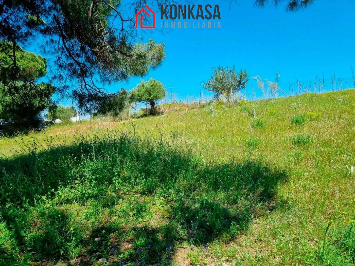 Ubebygd land til salgs i Arcos de la Frontera - € 48 000 (Ref: 9446847)