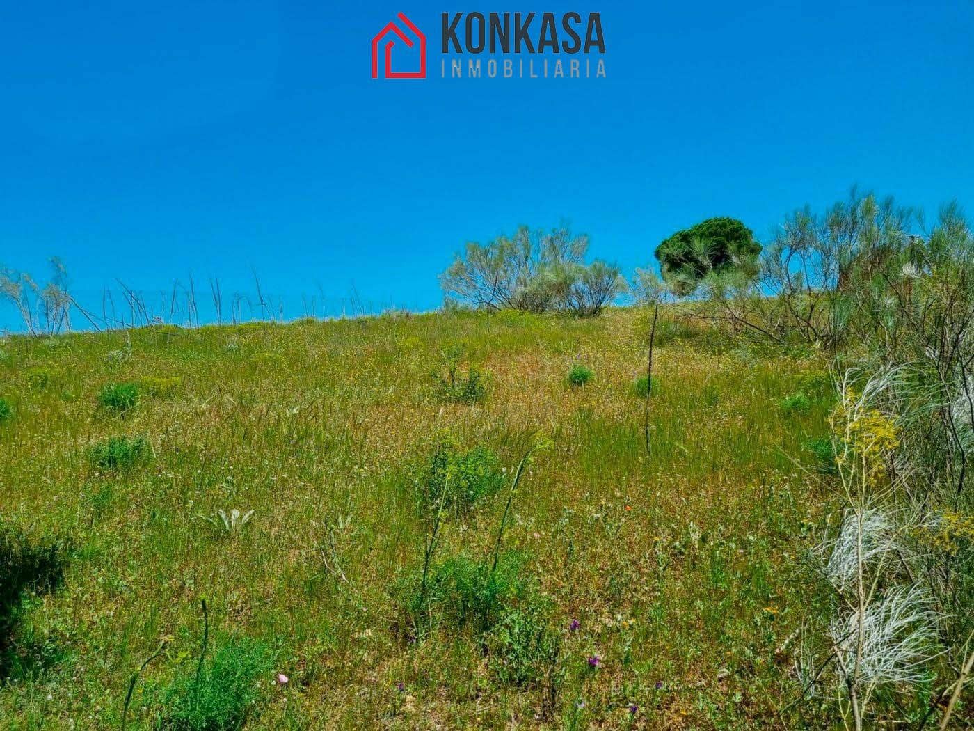 Ubebygd land til salgs i Arcos de la Frontera - € 48 000 (Ref: 9446847)