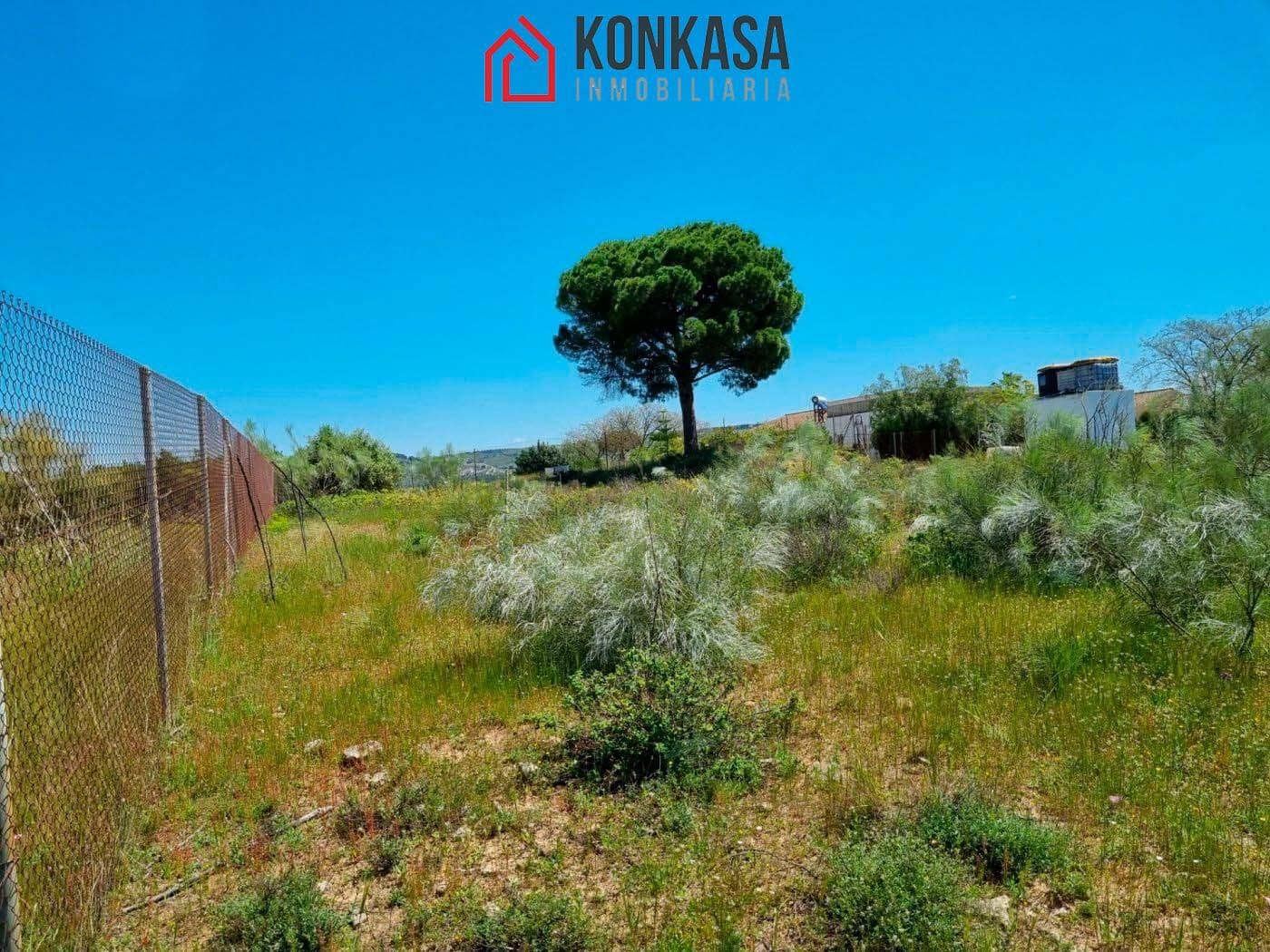 Ubebygd land til salgs i Arcos de la Frontera - € 48 000 (Ref: 9446847)