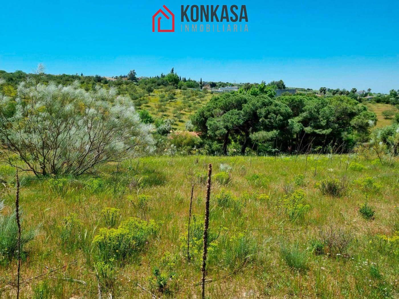 Ubebygd land til salgs i Arcos de la Frontera - € 48 000 (Ref: 9446847)