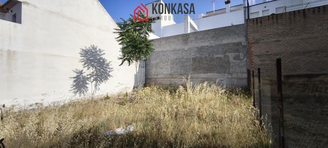Byggetomt til salgs i Arcos de la Frontera - € 70 000 (Ref: 9446856)