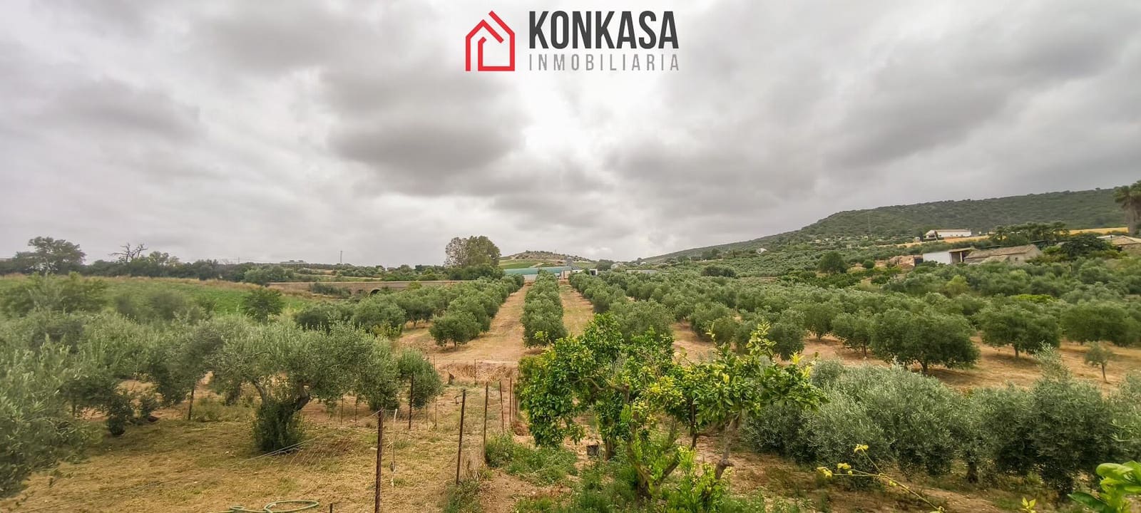 Finca/Casa Rural de 3 habitaciones en Arcos de la Frontera en venta - 183.000 € (Ref: 9446858)