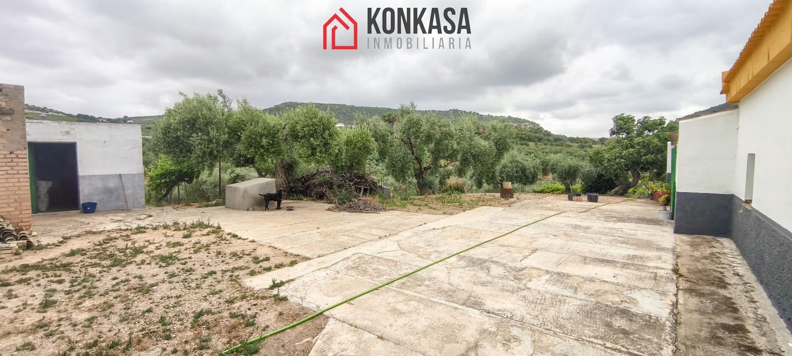 Finca/Casa Rural de 3 habitaciones en Arcos de la Frontera en venta - 183.000 € (Ref: 9446858)