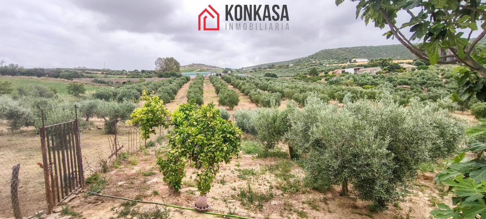 Finca/Casa Rural de 3 habitaciones en Arcos de la Frontera en venta - 183.000 € (Ref: 9446858)