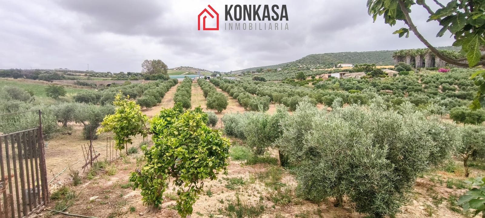 Finca/Casa Rural de 3 habitaciones en Arcos de la Frontera en venta - 183.000 € (Ref: 9446858)