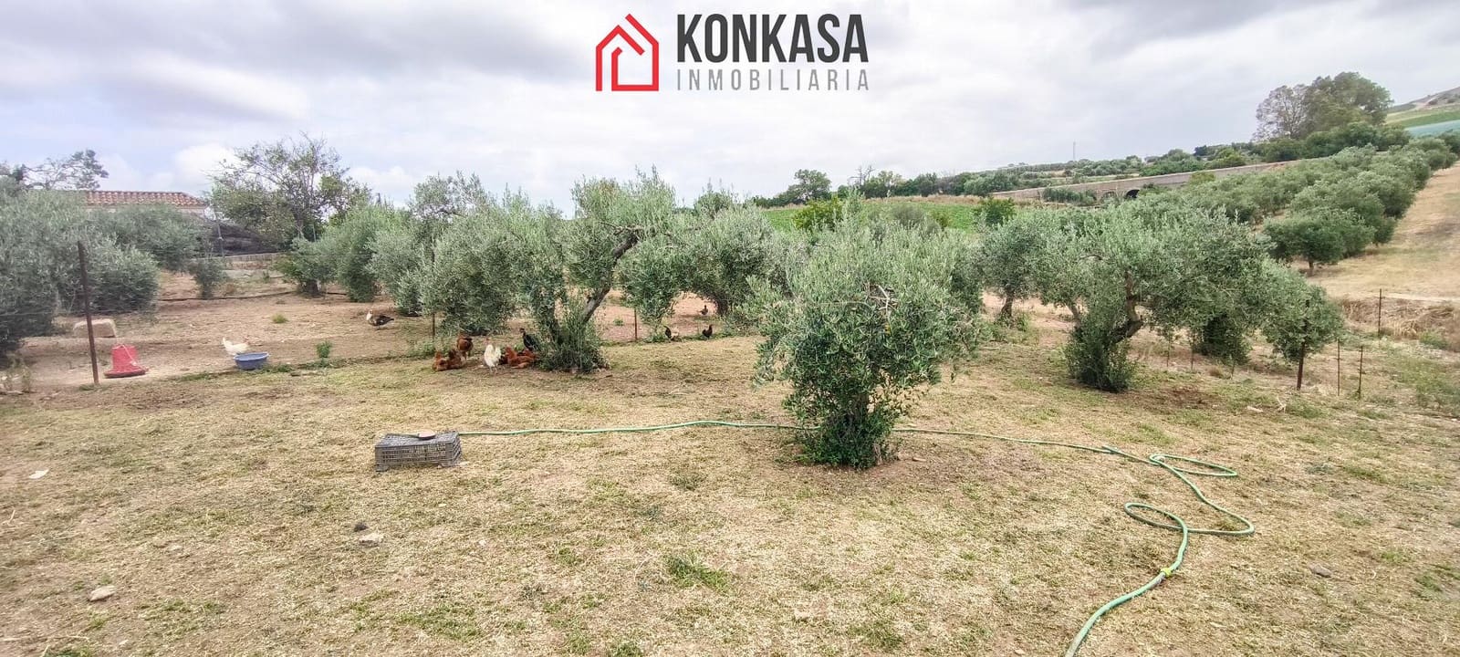 Finca/Casa Rural de 3 habitaciones en Arcos de la Frontera en venta - 183.000 € (Ref: 9446858)