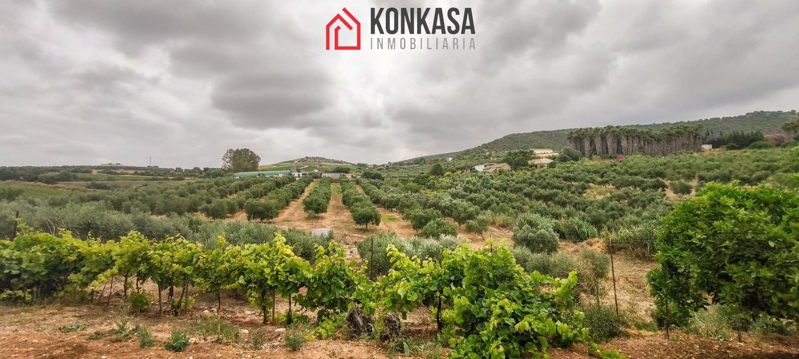 Finca/Casa Rural de 3 habitaciones en Arcos de la Frontera en venta - 183.000 € (Ref: 9446858)