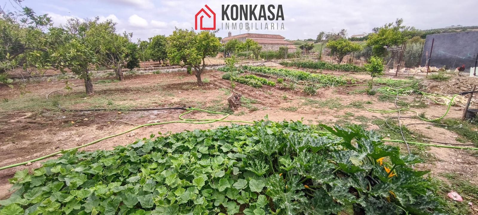 Finca/Casa Rural de 3 habitaciones en Arcos de la Frontera en venta - 183.000 € (Ref: 9446858)