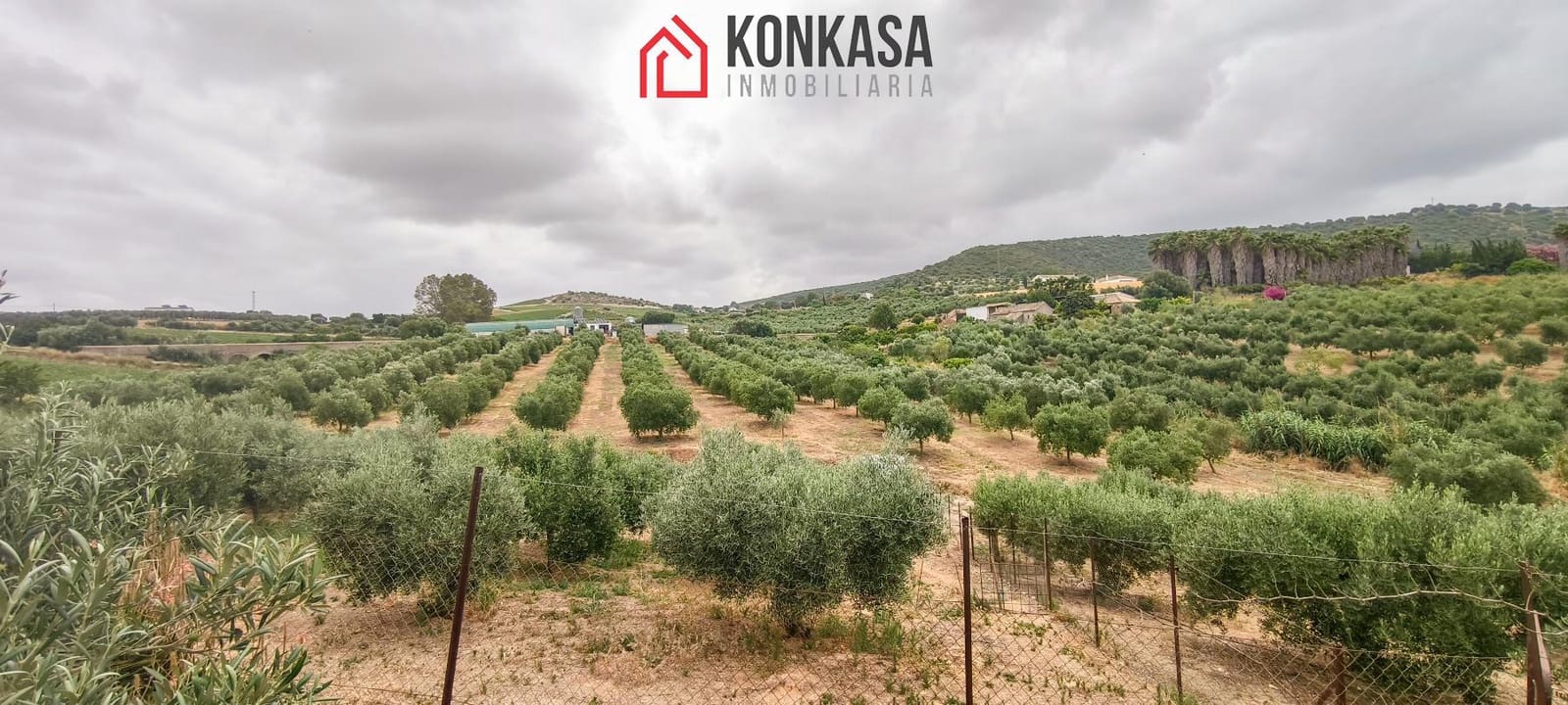 Finca/Casa Rural de 3 habitaciones en Arcos de la Frontera en venta - 183.000 € (Ref: 9446858)