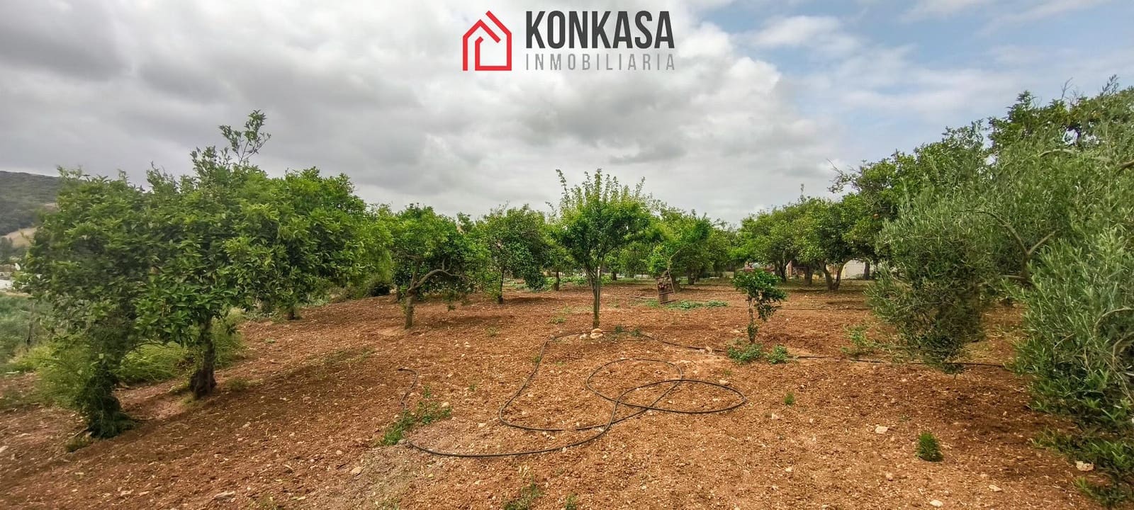 Finca/Casa Rural de 3 habitaciones en Arcos de la Frontera en venta - 183.000 € (Ref: 9446858)