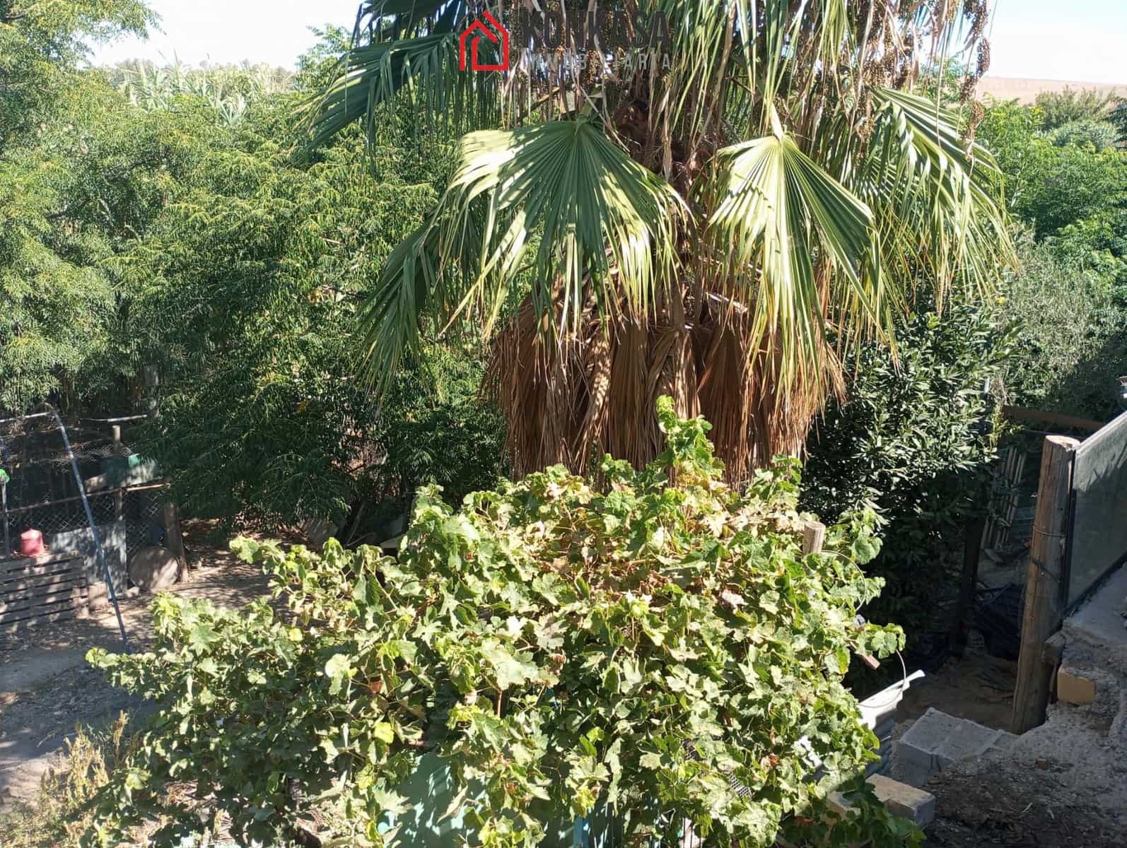 4 bedroom Finca/Country House for sale in Arcos de la Frontera with pool garage - € 190,000 (Ref: 9446865)