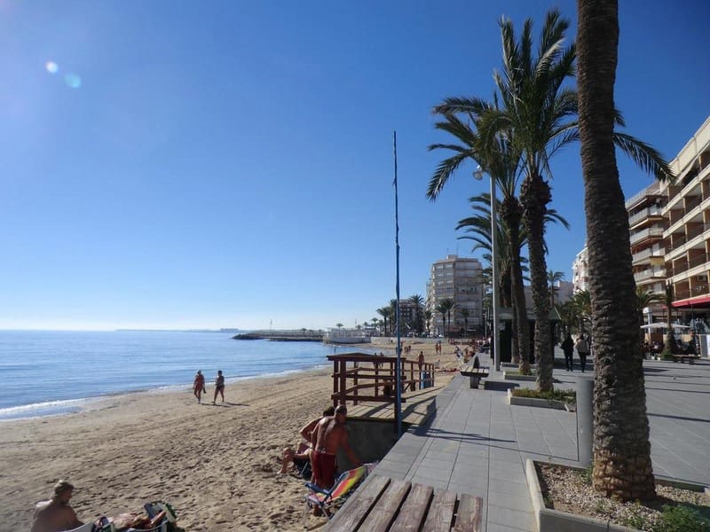 4 bedroom Commercial for sale in Torrevieja - € 96,500 (Ref: 6744055)