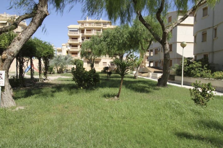 3 bedroom Apartment for rent in Guardamar del Segura with pool garage - € 600 (Ref: 6350319)