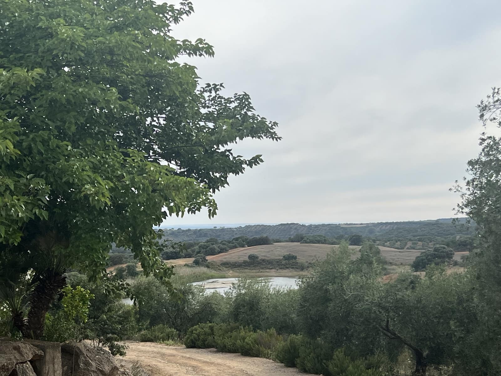 5 soveværelse Finca/Landehus til salg i Lora del Rio med swimmingpool garage - € 2.275.000 (Ref: 7667920)