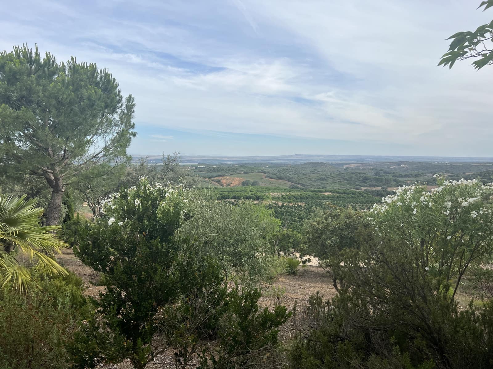 5 soveværelse Finca/Landehus til salg i Lora del Rio med swimmingpool garage - € 2.275.000 (Ref: 7667920)