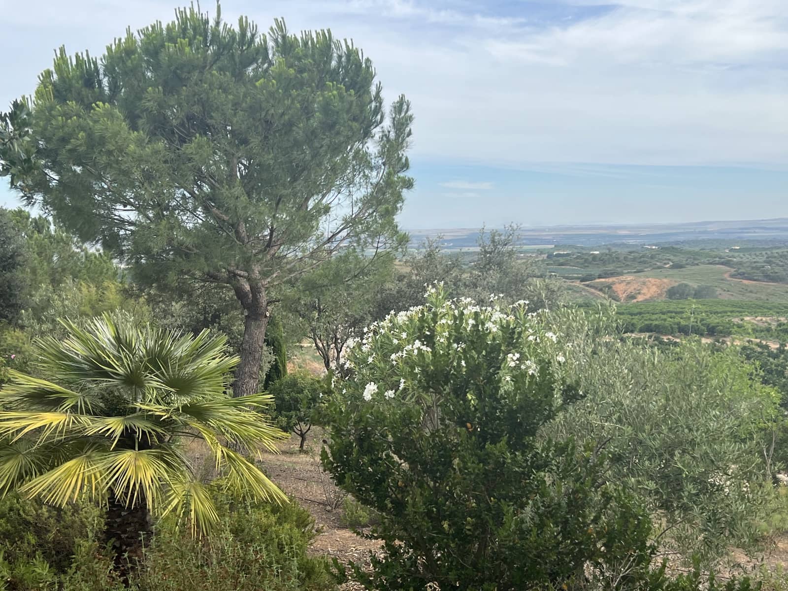 5 soveværelse Finca/Landehus til salg i Lora del Rio med swimmingpool garage - € 2.275.000 (Ref: 7667920)