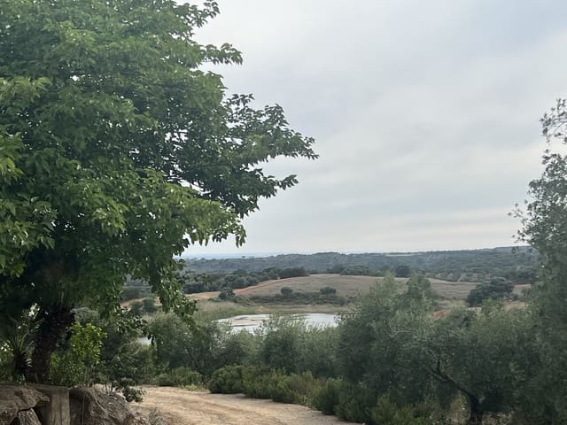 5 bedroom Finca/Country House for sale in Lora del Río with pool garage - € 2,275,000 (Ref: 7667920)