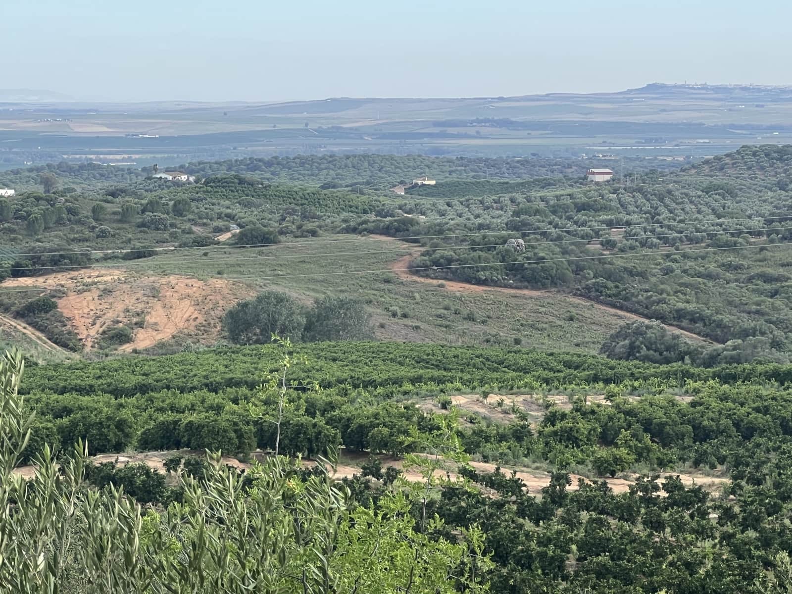 5 soveværelse Finca/Landehus til salg i Lora del Rio med swimmingpool garage - € 2.275.000 (Ref: 7667920)