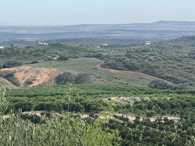 5 bedroom Finca/Country House for sale in Lora del Río with pool garage - € 2,275,000 (Ref: 7667920)