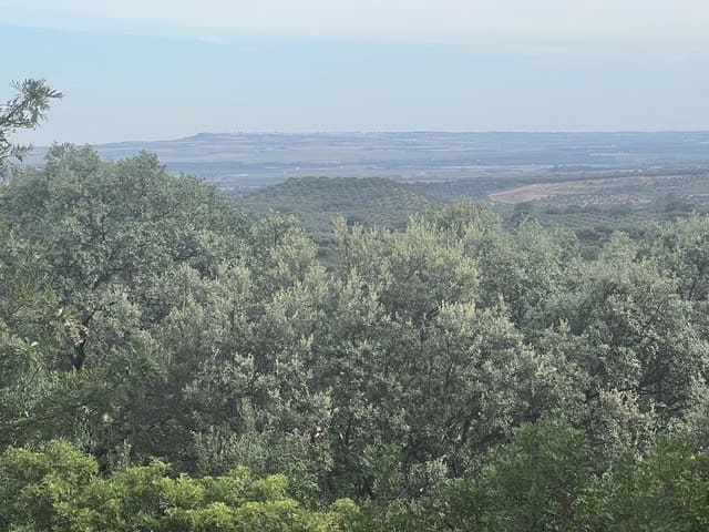 5 bedroom Finca/Country House for sale in Lora del Río with pool garage - € 2,275,000 (Ref: 7667920)